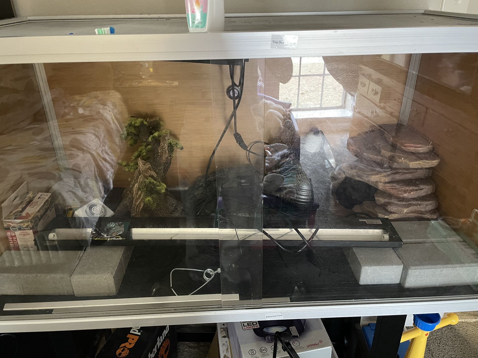 4x4x2 Bearded Dragon Tank