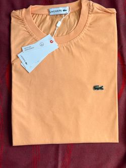 Large and XL