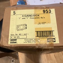 4 Gang Raco Boxes