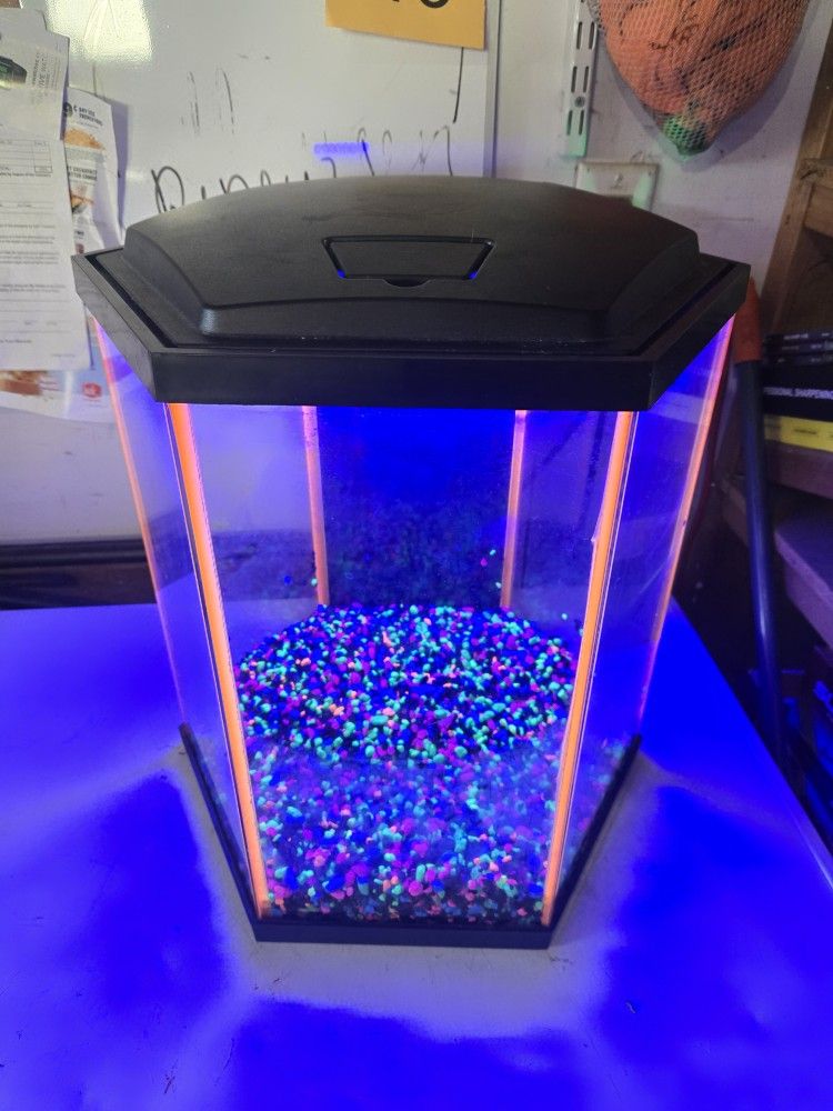 8 Gallon Glofish Aquarium