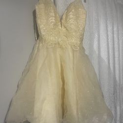 Homecoming/Damas Dress