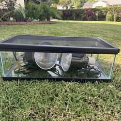 Open Glass Aquarium