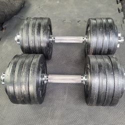 50lbs Dumbells Weights 