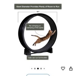 Cat Exercise Wheel New. Not Use