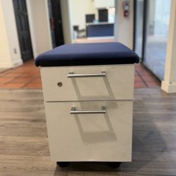 Mobile File Cabinet with Cushioned Seat