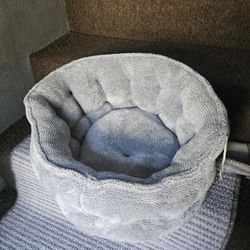 Small Bet For Small Dog 