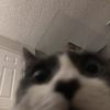 Jacob
