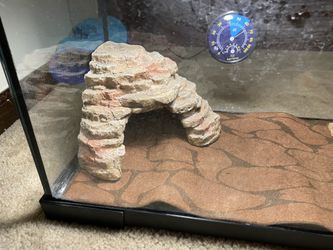 10 Gallon Lizard Habitat