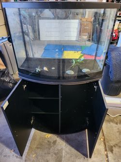 Bow Front Aquirum With Stand