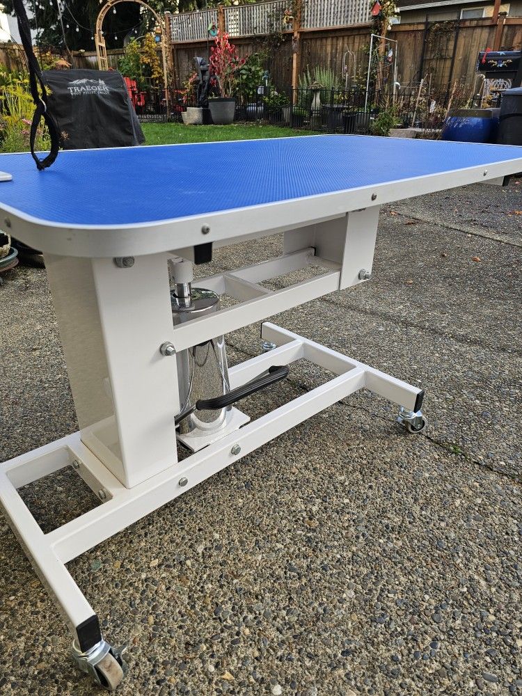 Hydraulic Dog Grooming Table