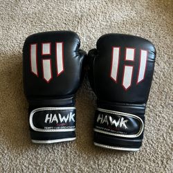 Boxing Gloves (12 oz) 
