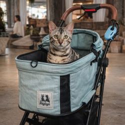 Pet Stroller 