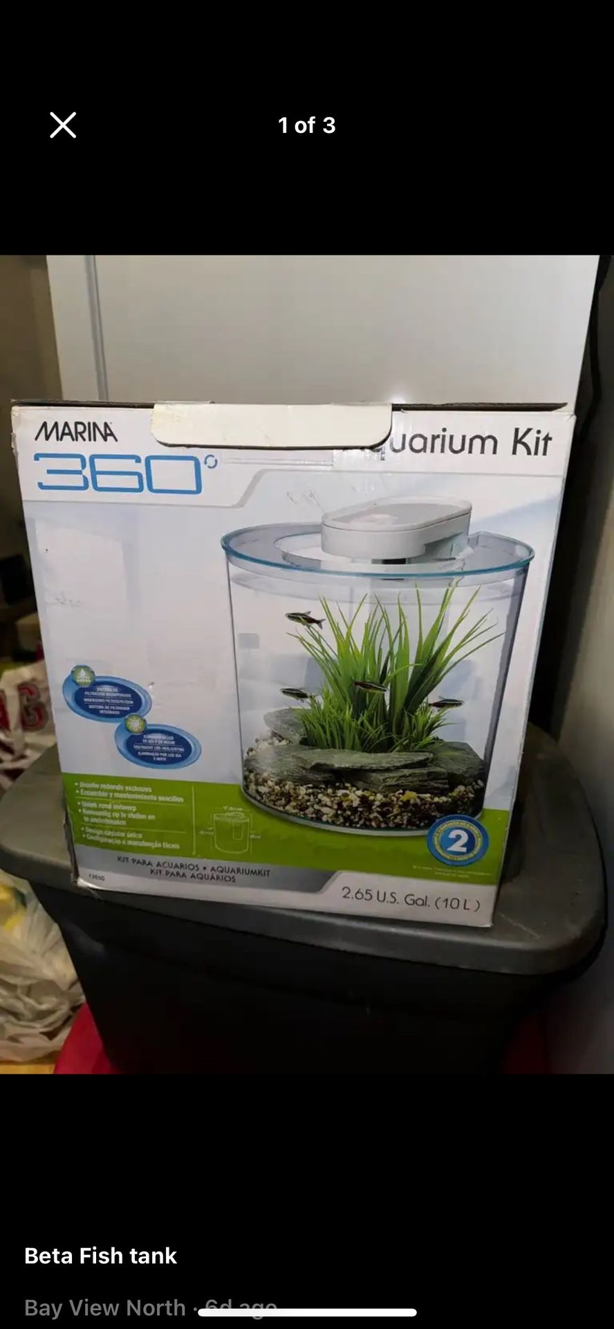 Betta Fish Tank