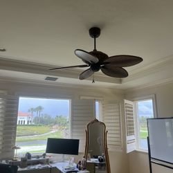 Fans Like New