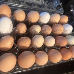 Dozen Eggs $4. Free Range Farm Fresh Organic