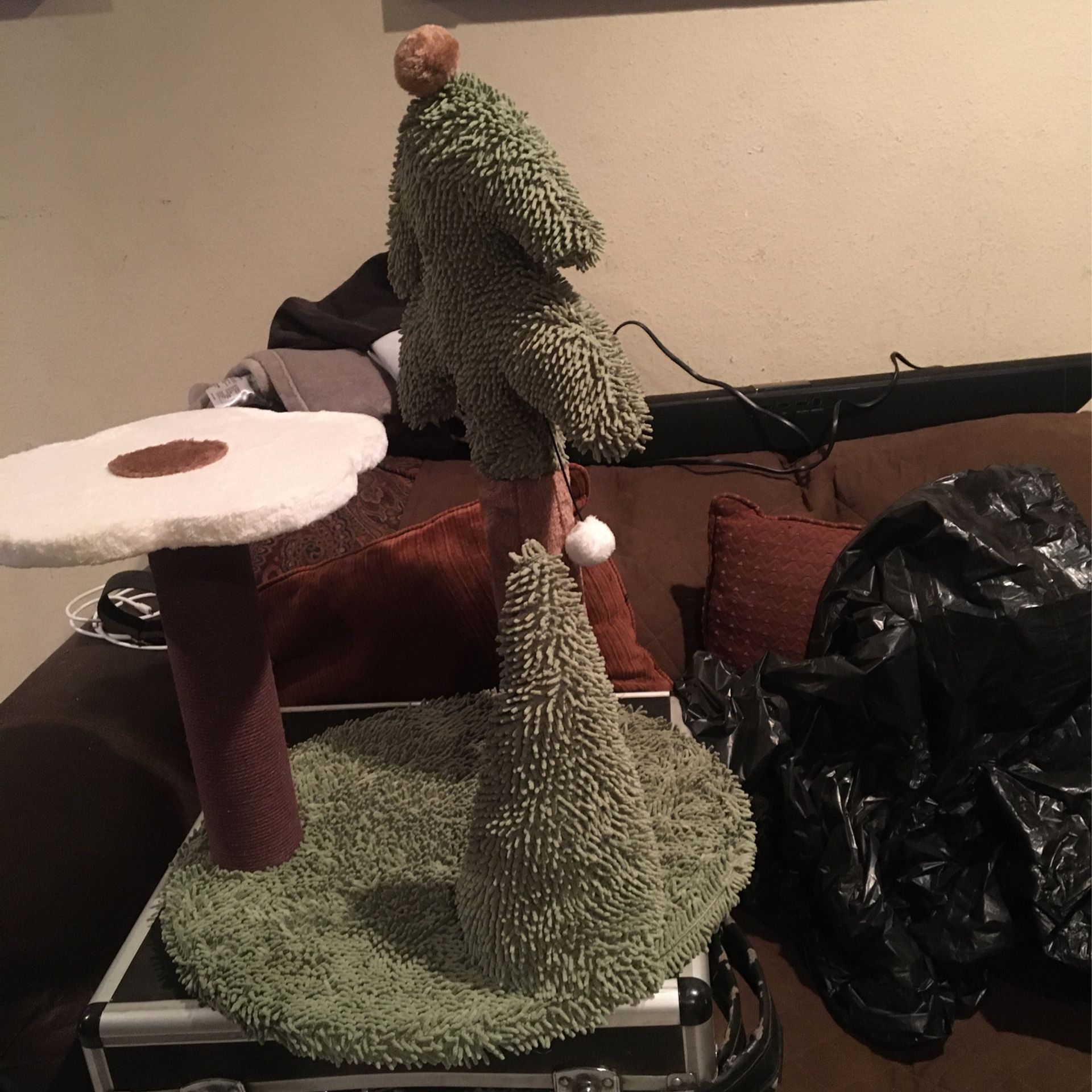 Cat New $30