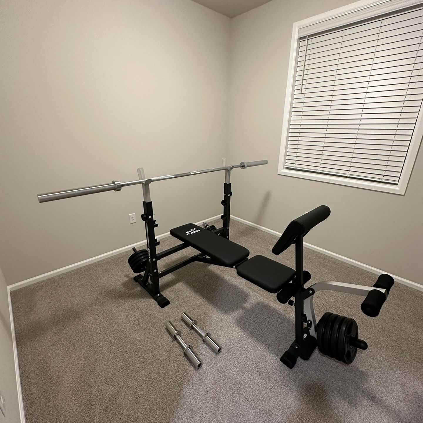 Flybird Bench Press Leg Extension Bench and Weights