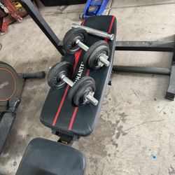 Weight Bench