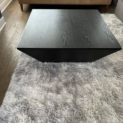 Contemporary Coffee Table 