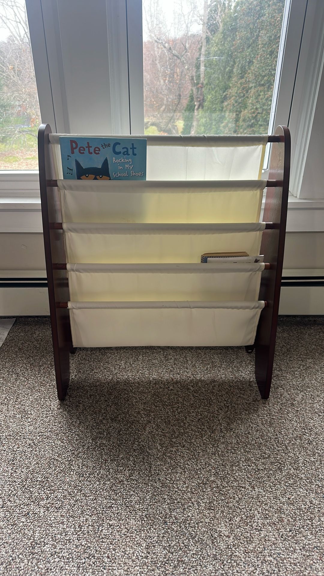Children’s Book Shelf