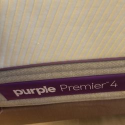 Purple 4 Hybrid In King