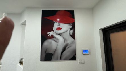 Acrylic picture