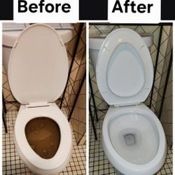 Toilet Clogged? 🚽🪠🚾🧻