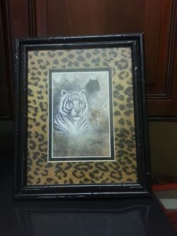 Regal safari frame