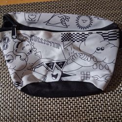 Hollister Pouch