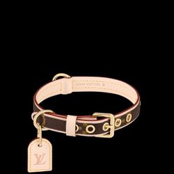 AUTHENTIC Louis Vuitton - Pet Collar M80340 COLLAR PM for Sale in Los  Angeles, CA - OfferUp