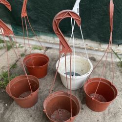 Used 6 Inch Hanging Pots, 3 For $1 Dollar Pick Up Only