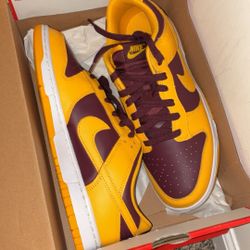 Size 10 New Men Dunks Az State 