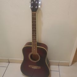 Ibanez Acustic Guitar 