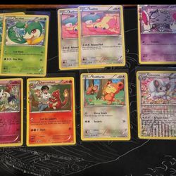 Small radiant collection lot