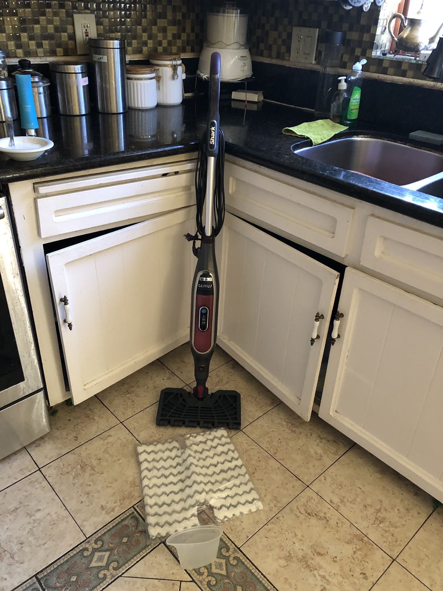 Brand New Genius Steam Mop With New Pad And Cup 