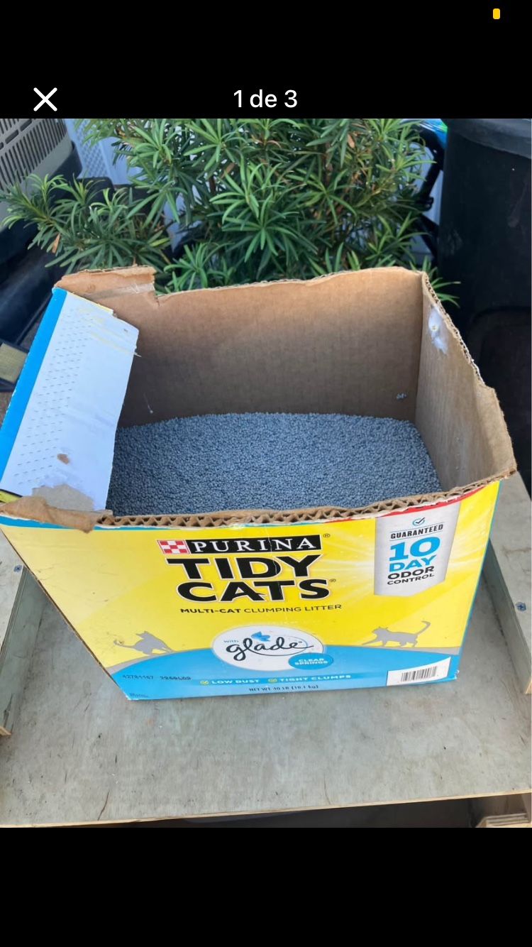 Food on your shelf, litter box and cat litter.