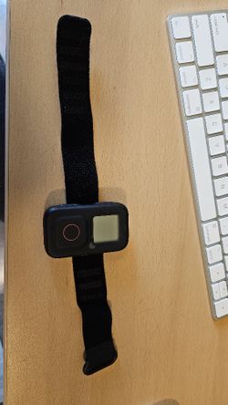 GoPro The Remote