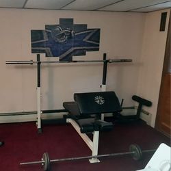 Olympic Weight Bench And Weighted Bar