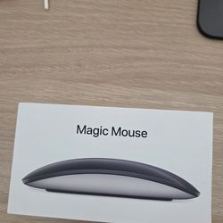 Apple Magic Mouse (Like New / Open Box)