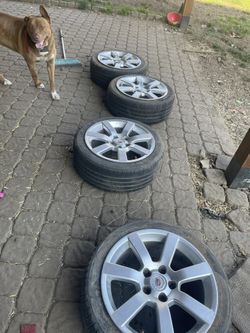 Rims For Cadillac