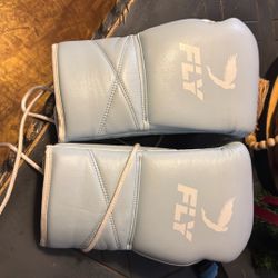 FLY Boxing gloves (16oz) 