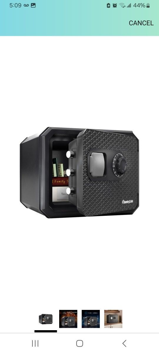 Sentry Fire Resistant Safe $100