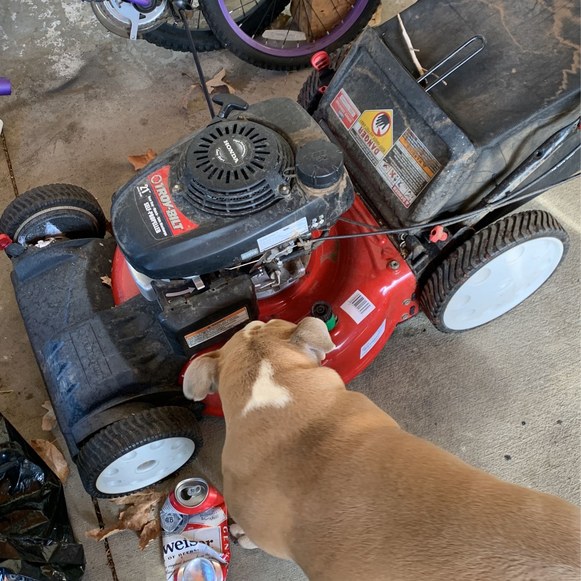 Lawn Mower