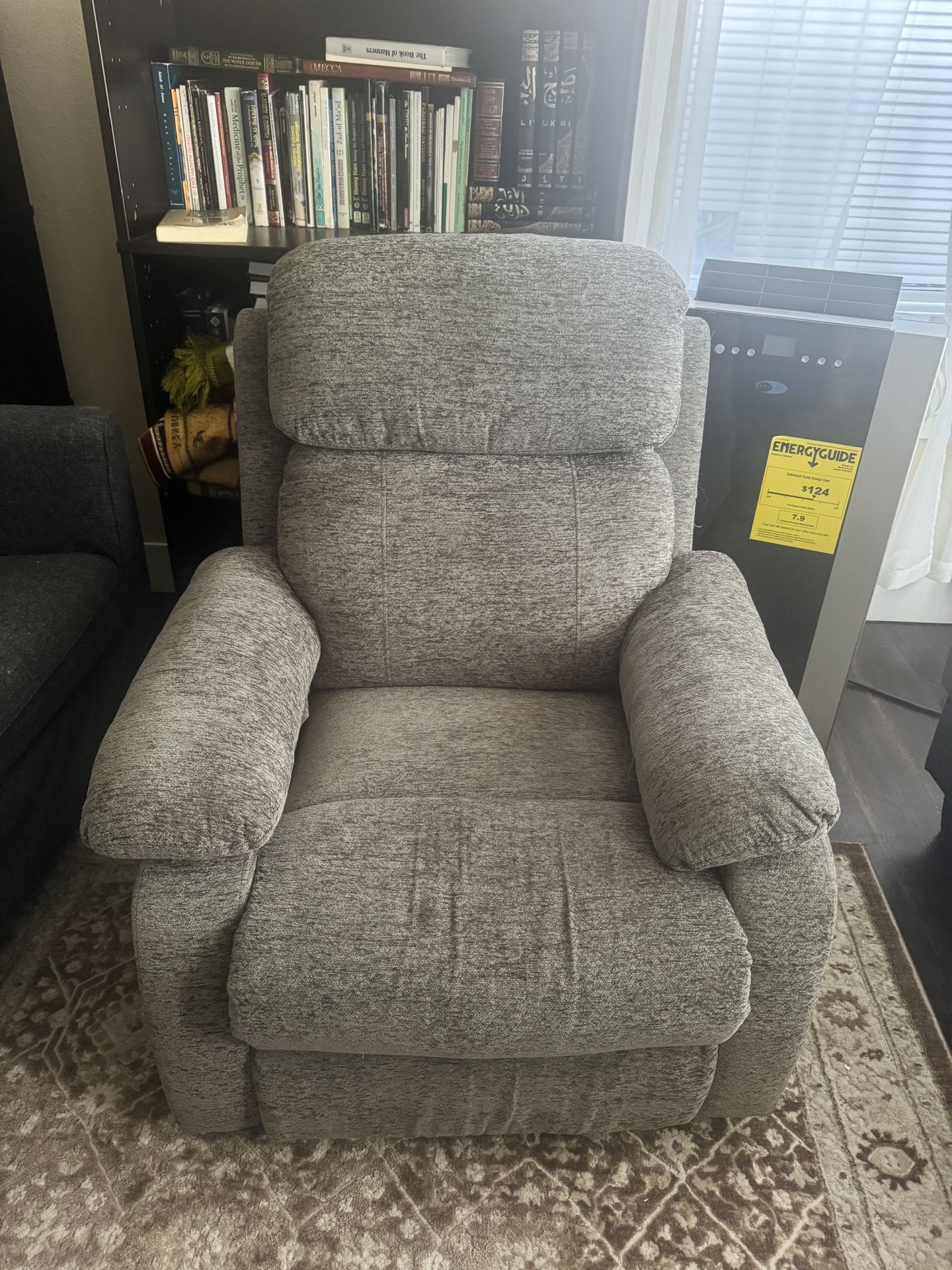 Reclining Chair