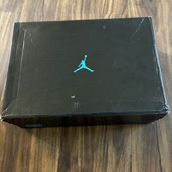 Jordan 11 gammas size 12