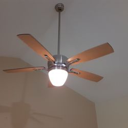 Ceiling Fan  .... Please Read Below 