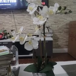 Nearly Natural Triple Phalaenopsis Orchid In Gray/white Vase Artificial Flowers

