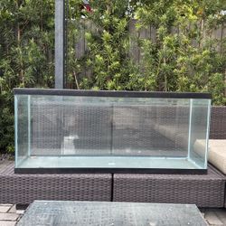 55 Gallon Fish Tank, Make Offers 