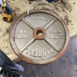 Standard 45 Lb Plate