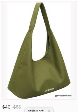 Hobo outside in tote bag